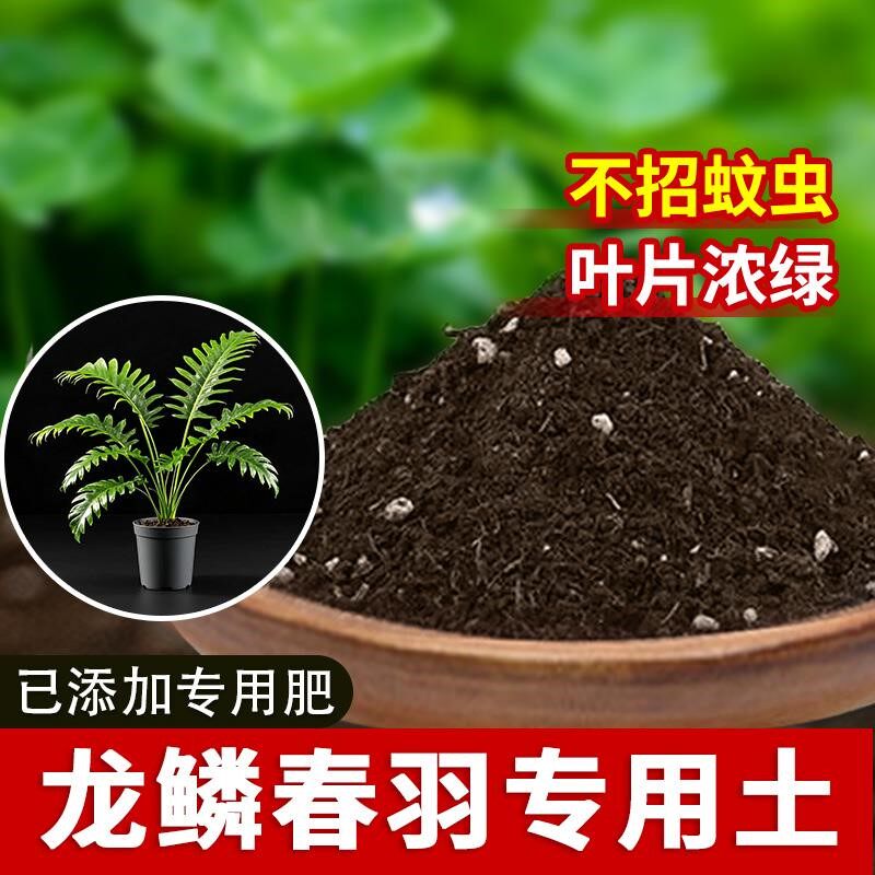 龙鳞春羽专用土花土透气绿植物花盆育苗花土龙鳞春羽专用营养土