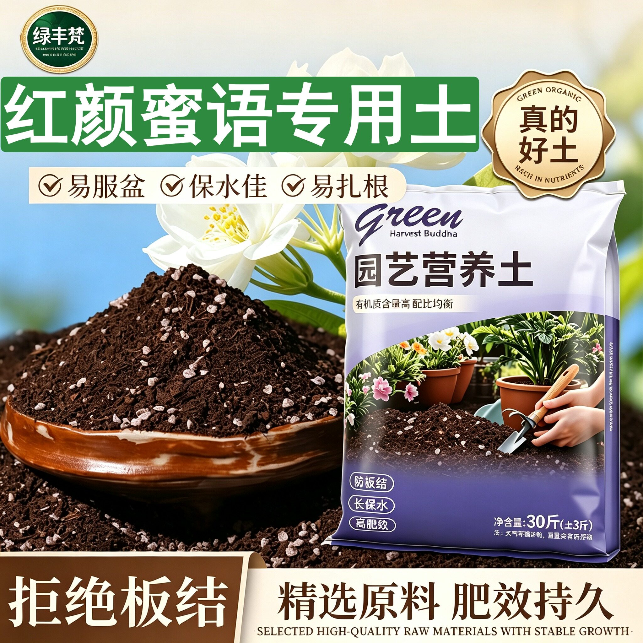 红颜蜜语适用轻质土不烂根盆景加有机肥进口绿叶球根观叶保水保肥