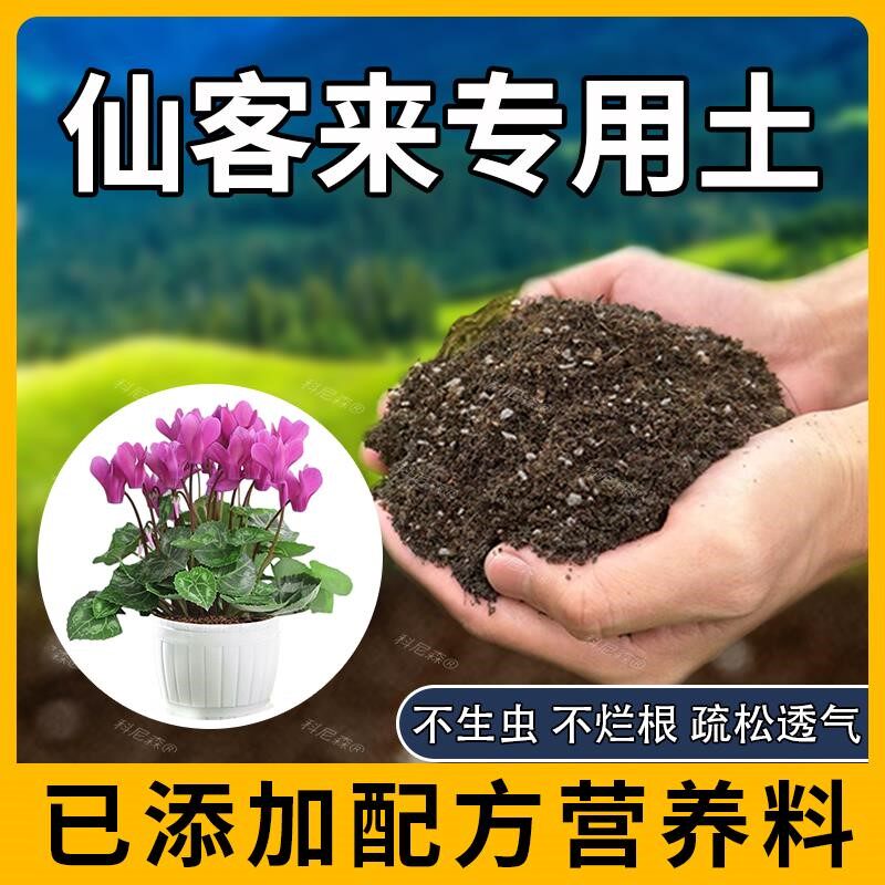 仙客来专用土肥料室内园艺泥土阳台花卉养花家庭仙客来营养土透气