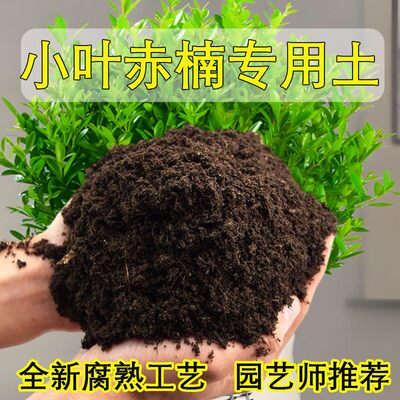 小叶赤楠专用土赤楠土盆栽有机肥料种花泥土营养土种植土养花肥料