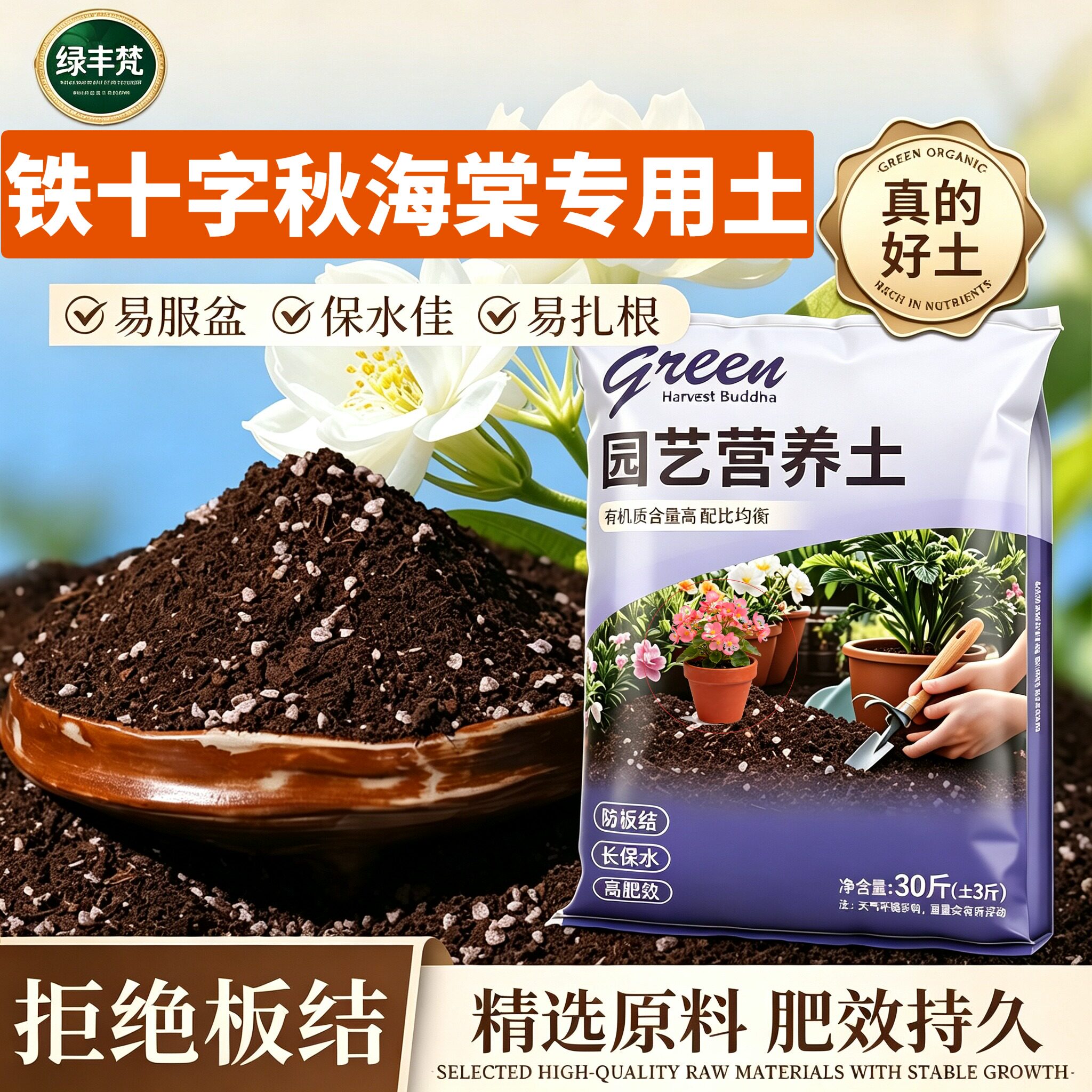 铁十字秋海棠适用基质加珍珠岩保水保肥加深生根粉进口防黄叶观叶
