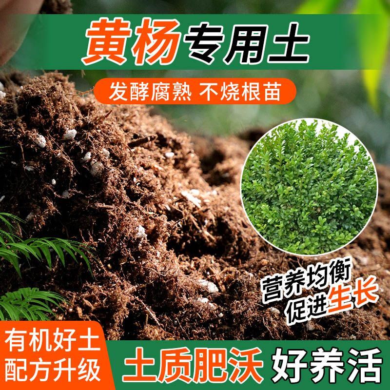 黄杨专用土种植士营养土家用阳台养花卉盆栽轻质蓬松有机肥料土壤