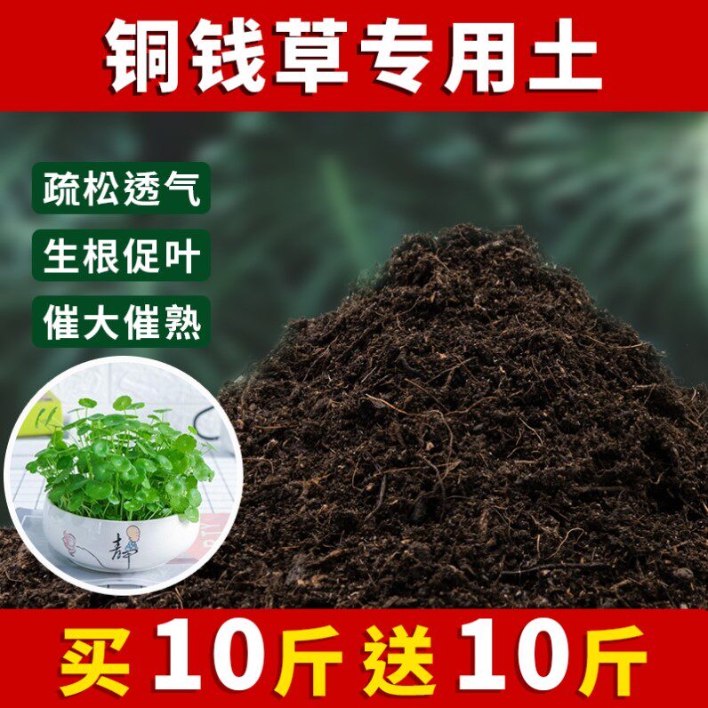 铜钱草专用土盆栽土肥料养花泥土家庭阳台透气种植土铜钱草营养土