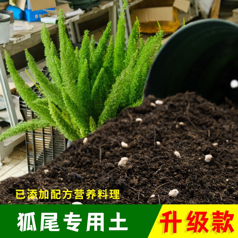 狐尾专用土狐尾营养土有机土肥料家用种植土盆栽种花养花泥土包邮
