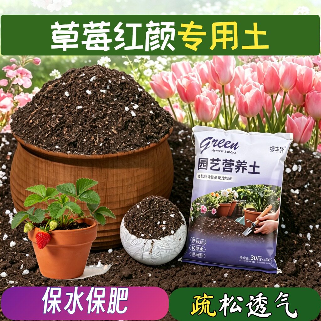 草莓红颜适用栽培土保水保肥不闷根盆栽包邮天然防徒长多肉室内