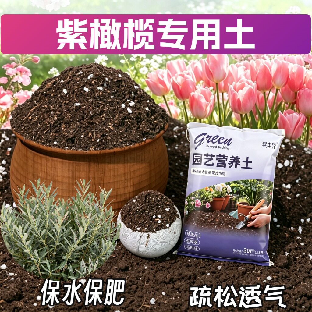 紫橄榄专用种菜土高温灭菌盆栽包邮进口增色木本盆景菜园育苗阳台