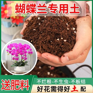 蝴蝶兰专用土兰花营养土通用型椰砖营养肥土花卉花盆松土黑土基质