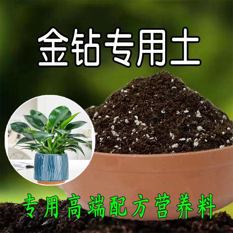 金钻专用土盆栽金钻营养土壤种植土植物酸性通用花土有机肥腐殖土
