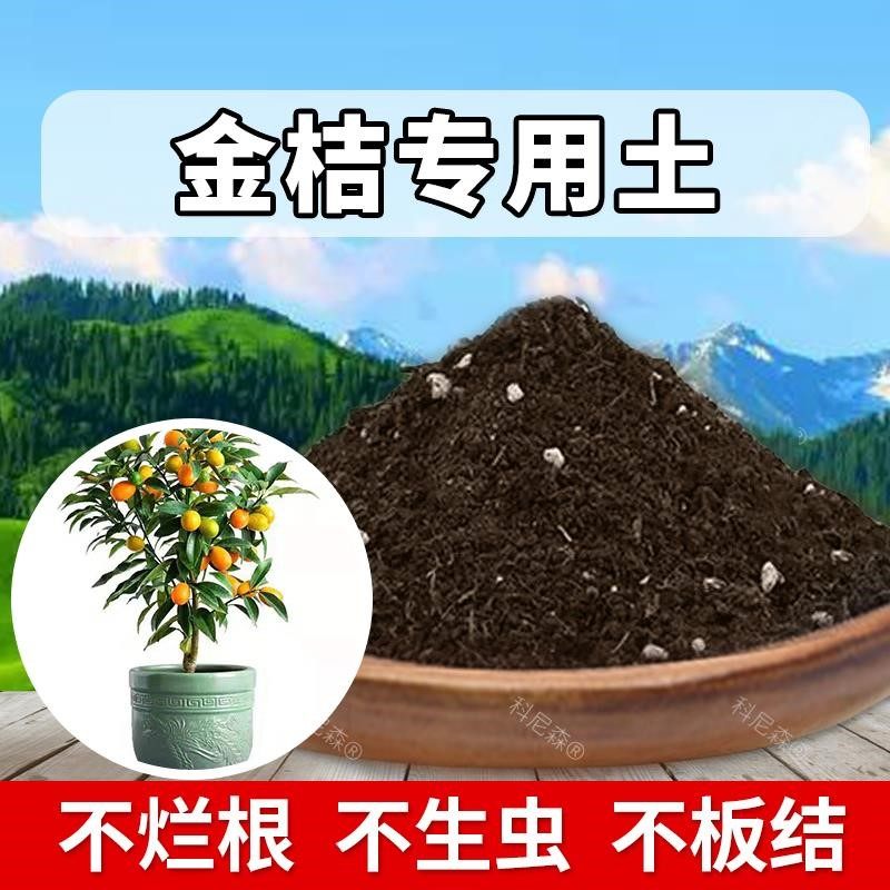 金桔专用土肥料果树育苗土金桔种树营养土家用盆栽土种植土有机土