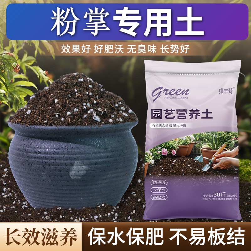 粉掌专用有机土根壮苗好园艺加牛粪进口防徒长观花球根无菌绿叶