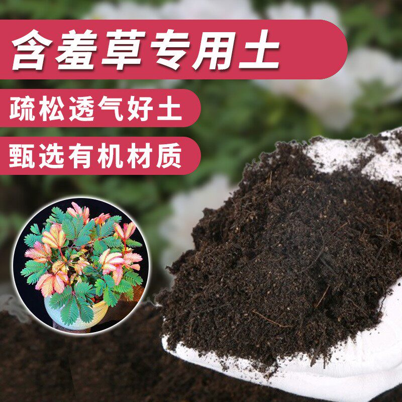含羞草专用土绿植营养土果蔬果树花卉阳台蓬松家庭透气土壤花盆