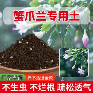 蟹爪兰专用土室内种花土蓬松有机肥营养土养花多肉土盆栽专用土