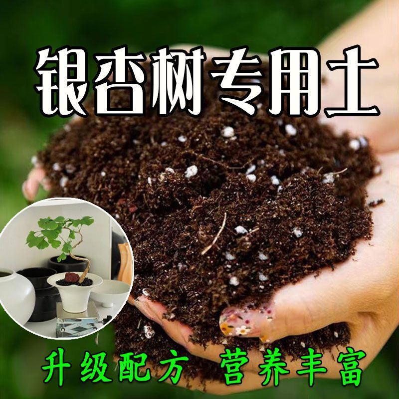 银杏树专用营养土银杏树种植土壤种花养花土育苗土盆栽花卉土肥料