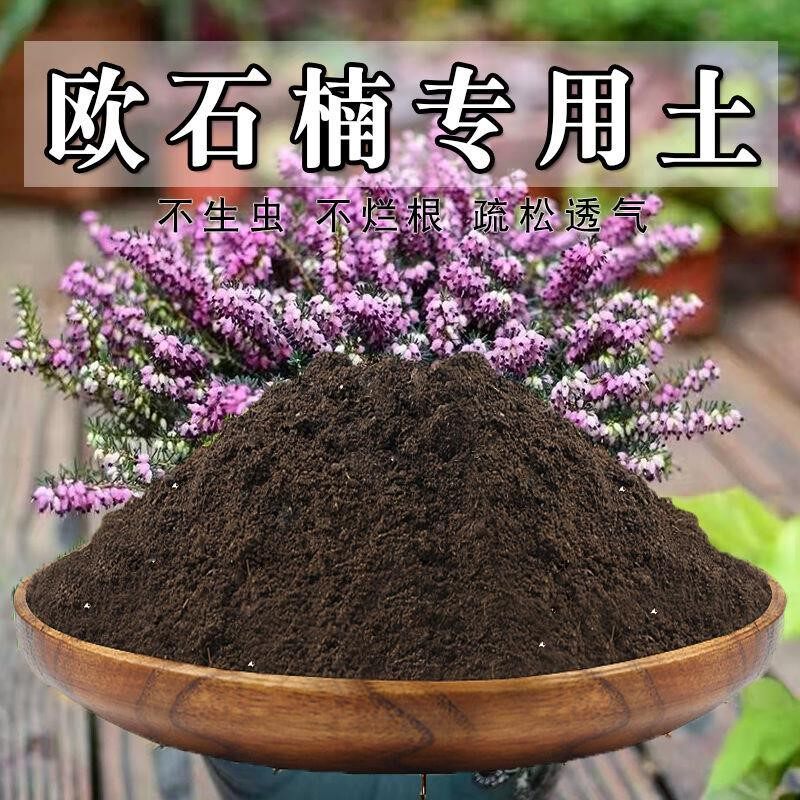 欧石楠专用土欧石楠土盆栽营养土通用种花养花泥土壤种植土有机肥