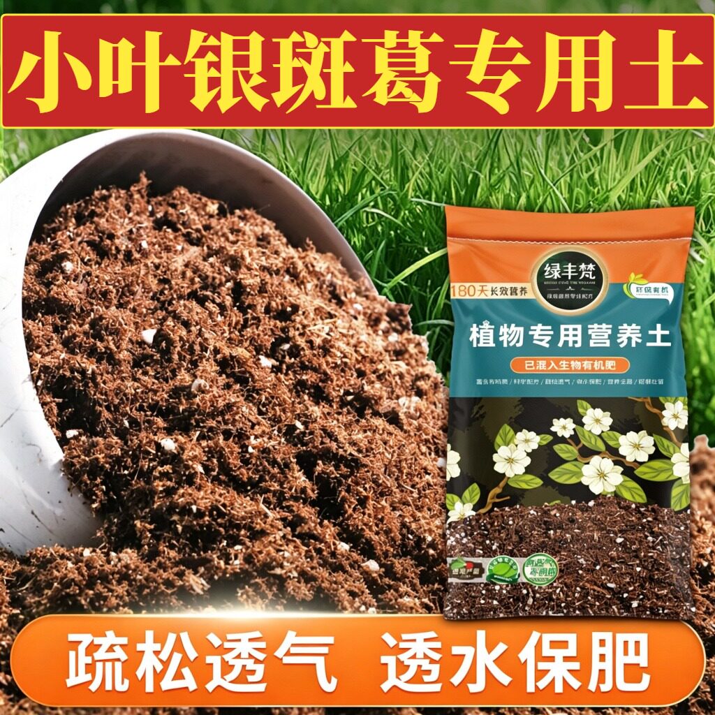 小叶银斑葛适用花土温和基质多肉盆栽土天然留存水分家用装观花