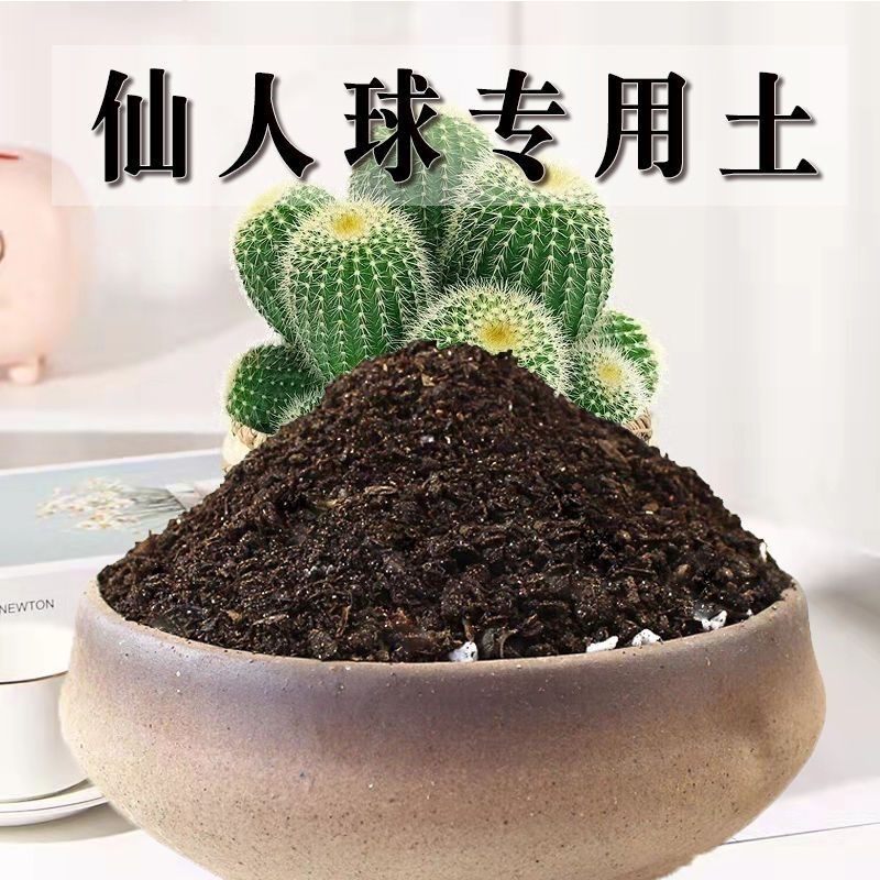 仙人球专用土仙人球专用营养土种花养花土育苗土盆栽种植土壤肥料