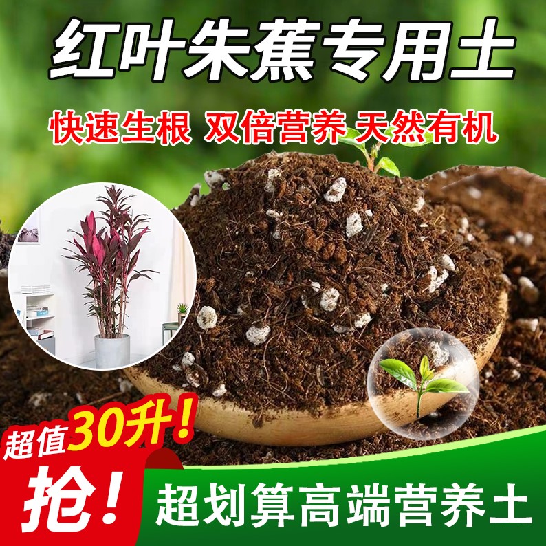 朱蕉专用泥炭土轻质基质土保水保肥盆栽园艺种植土无菌球根扦插