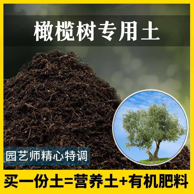 橄榄树专用土农业果园种植土家庭果树有机泥土盆栽土橄榄树营养土