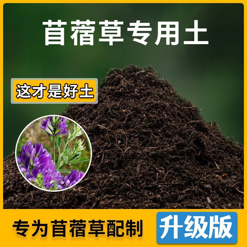 苜蓿草专用土苜蓿草营养土家用种植土壤家庭盆栽种花养花有机土