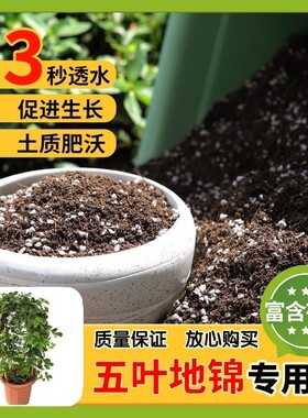 【五叶地锦专用土】家用盆栽土加生根粉绿植专用有机植物营养肥料