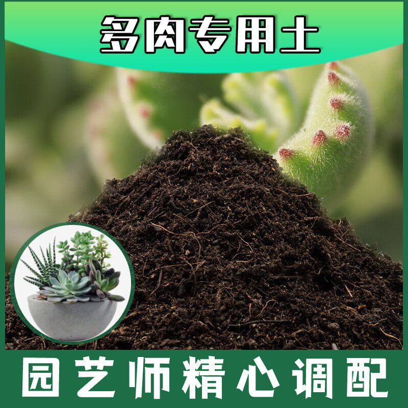 多肉专用土腐殖土种花养花盆栽绿植土多肉营养土种植有机土壤包邮