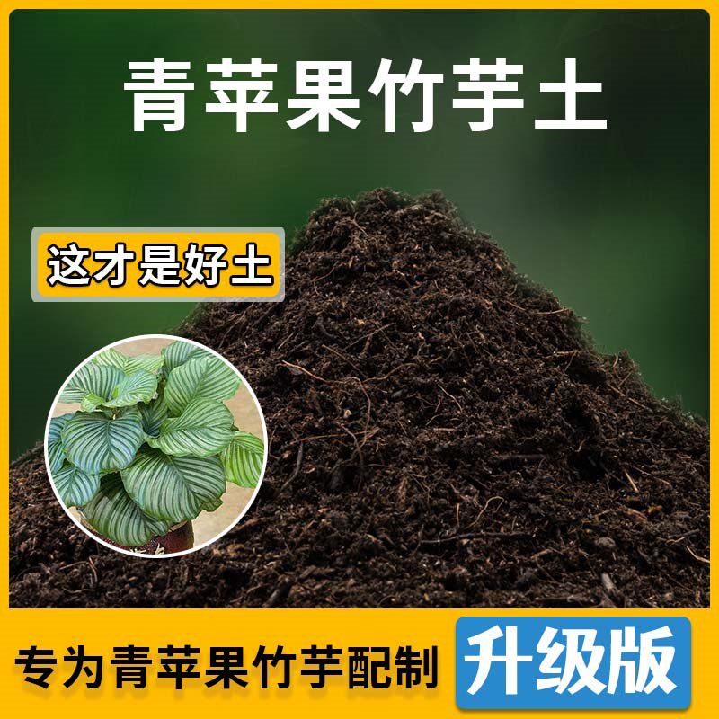 青苹果竹芋专用土青苹果营养土家用种植土壤家庭盆栽种花有机土