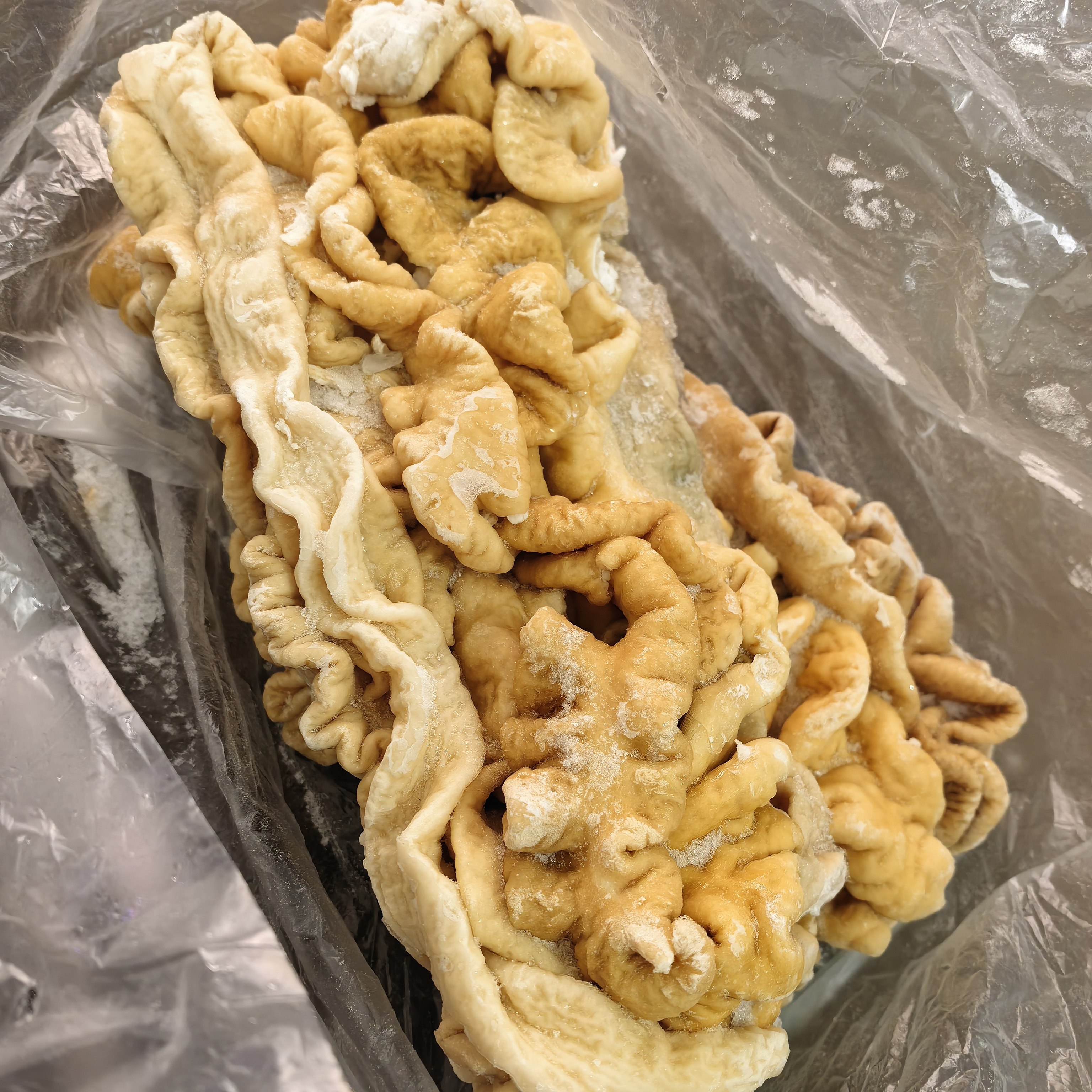 顺丰快递 商用半熟猪大肠猪肥肠纯干猪大肠去油猪大肠20斤一箱
