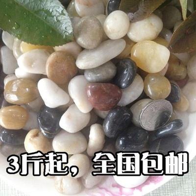 子沙子花盆栽铺面装饰花盆里的彩if鱼缸石子五彩色石头七彩色小石