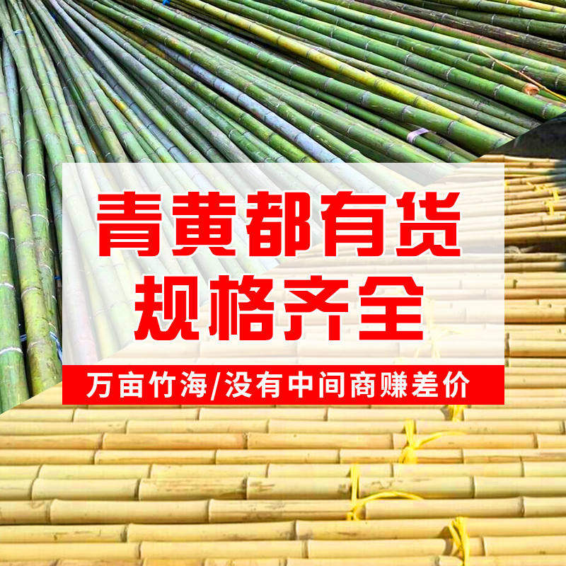 竹篱笆栅栏瘦竹竿室内装饰户外菜园搭架细竹杆竹子彩旗跳舞毛竹杆
