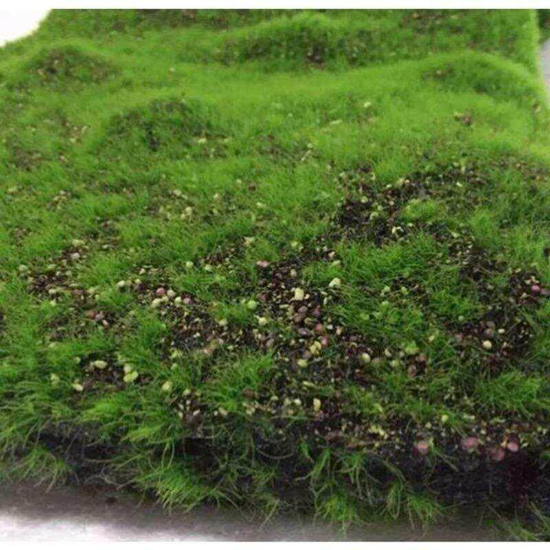 仿真青苔藓草皮3d绿植墙大气山丘造型 墙面装饰橱窗墙面景观草坪