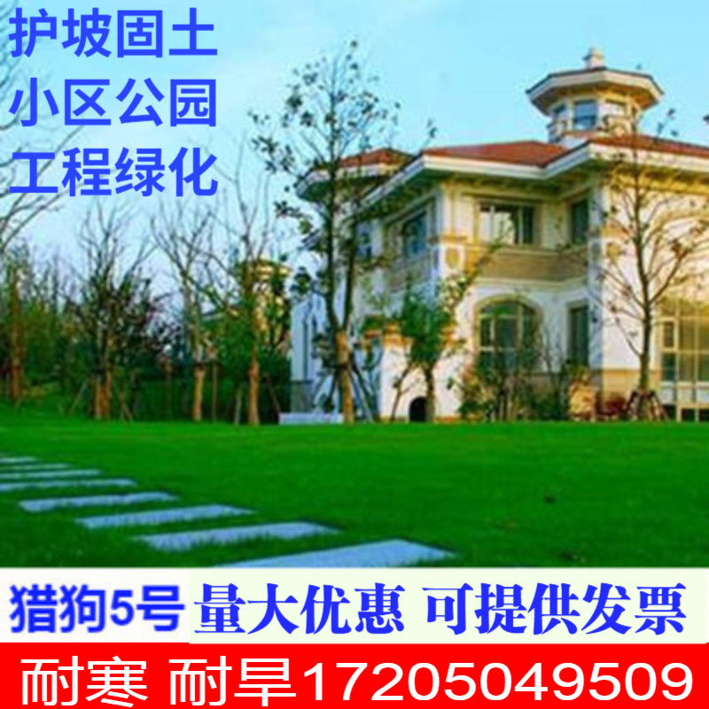 紫云英种子红花草籽养蜂蜜源紫花苕种籽绿肥植物紫花苜蓿种籽 燕子种业 淘优券