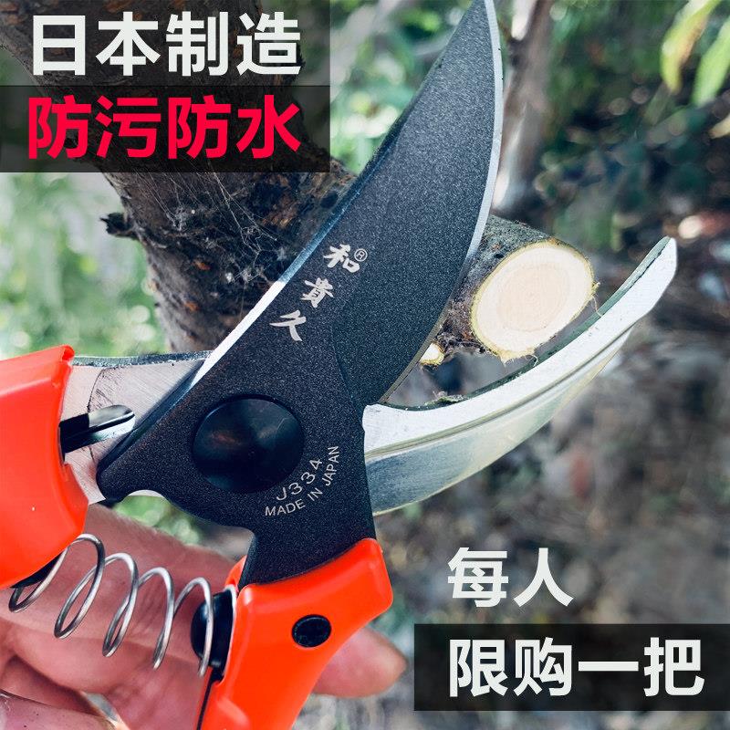 进口修枝剪果树花枝剪园林树枝剪刀日本原装台湾多功能插花艺剪刀