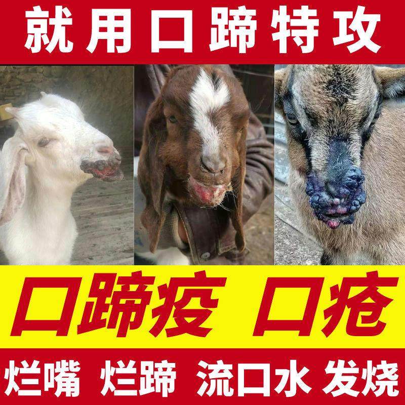 猪牛羊口蹄康疫苗兽专用药重症烂嘴烂腐蹄腔溃疡药疮孕畜可用包邮