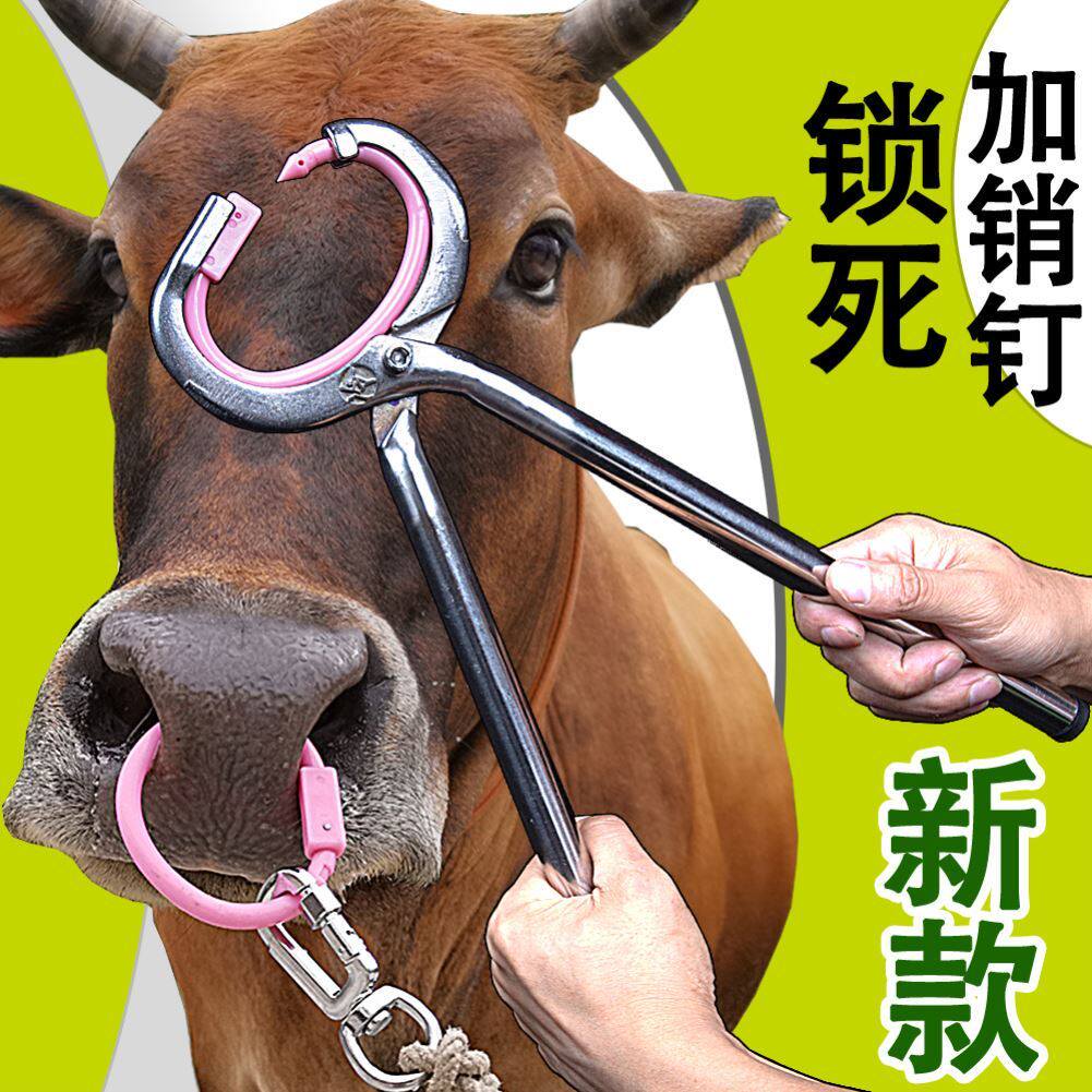 免打孔牛鼻环弹簧牛鼻钳子 牛保定器不锈钢牛鼻圈 加厚大号牛鼻环