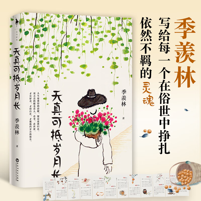 天真可抵岁月长 季羡林谈人生的六大主题精美彩插现代散文随笔文学我的童年清塘荷韵月是故乡明名篇