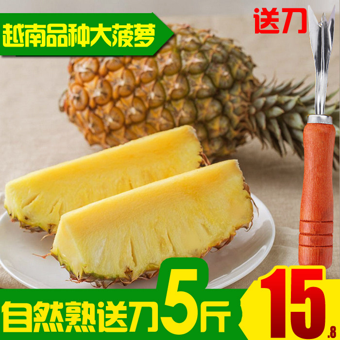 【5斤特价】海南菠萝新鲜水果徐闻菠萝大果批发包邮香水波萝送刀在类目 水产肉类/新鲜蔬果/熟食, 新鲜水果, 菠萝中 - 来自Buy2taobao.com提供专业的淘宝代购服务