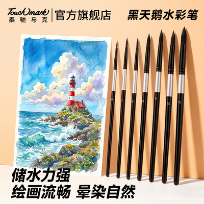 黑天鹅水彩笔美术绘画专用