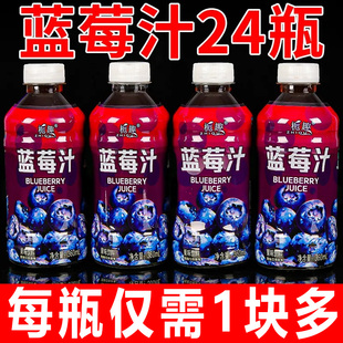 12瓶蓝莓果味饮料水果汁饮用饮品 无糖饮料蓝莓汁整箱批发360ml