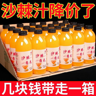 芒果沙棘果味维C果汁饮料批发 沙棘汁整箱360ml大瓶装 活动促销
