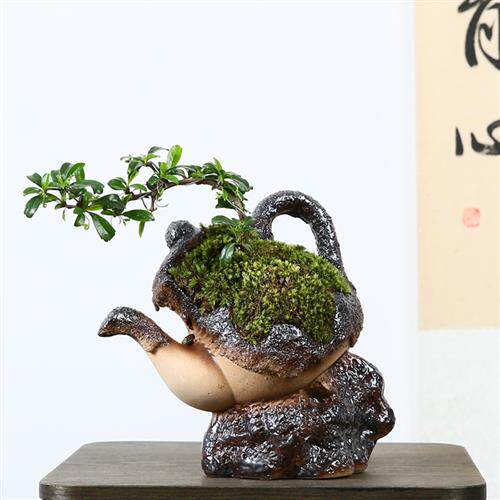 创意个性建茶盆景盆新款造型独特的陶瓷花盆缺口破罐子粗陶透气