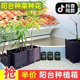 家庭台长方形种植箱蔬菜种菜神器楼顶塑料花盆专用花箱特大