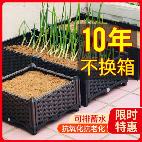 台种菜种植箱家庭塑料长方形花盆筐室外庭院兰花植物大小花盆