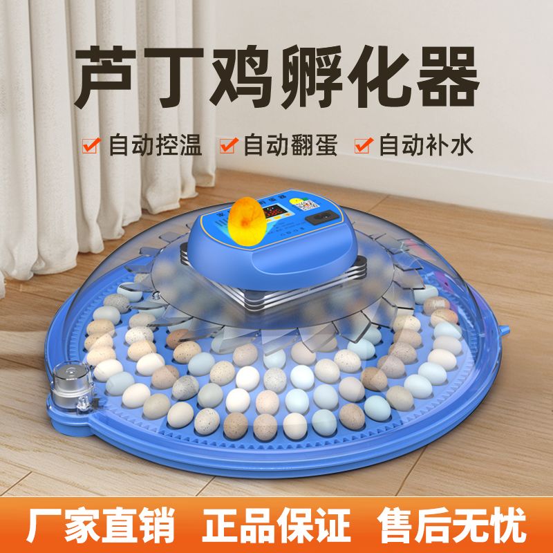 小飞碟孵化器小型家用型全自动智能孵蛋器鸡鸭芦丁鸡孵化机孵化箱