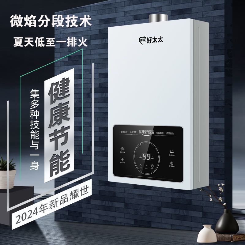 燃气热水器家用煤气液化气水气双调天然气节能强排平衡式变频恒温