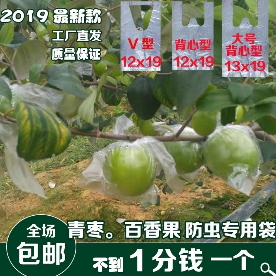青枣套袋大防虫专用背心型透气薄膜袋杨桃水果袋子百香果甜石榴袋