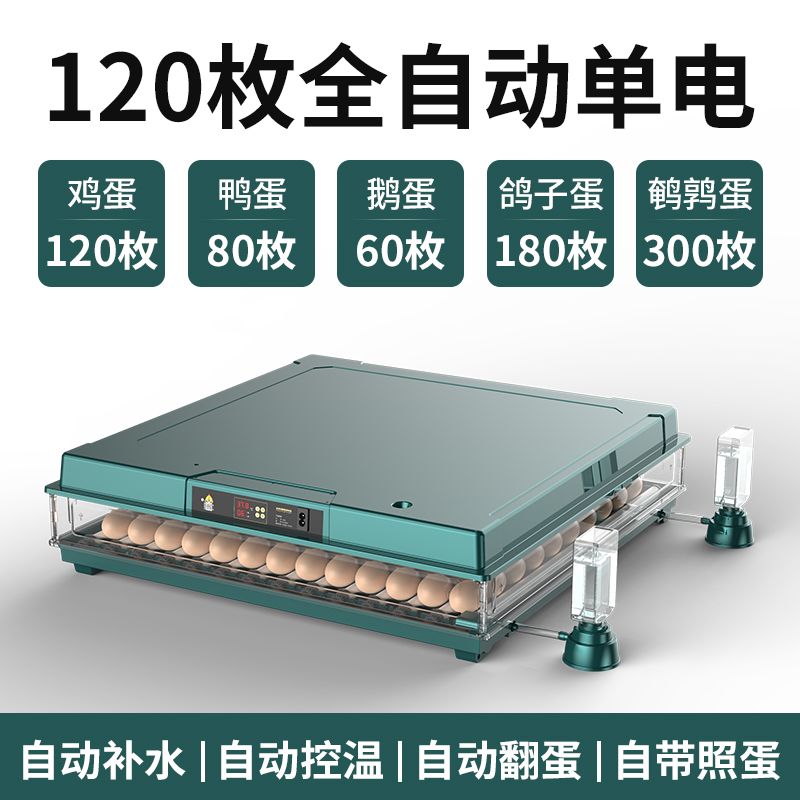 孵化器小型家用芦丁鸡孵蛋器小鸡孵化机全自动智能鸡蛋小鸡孵化箱