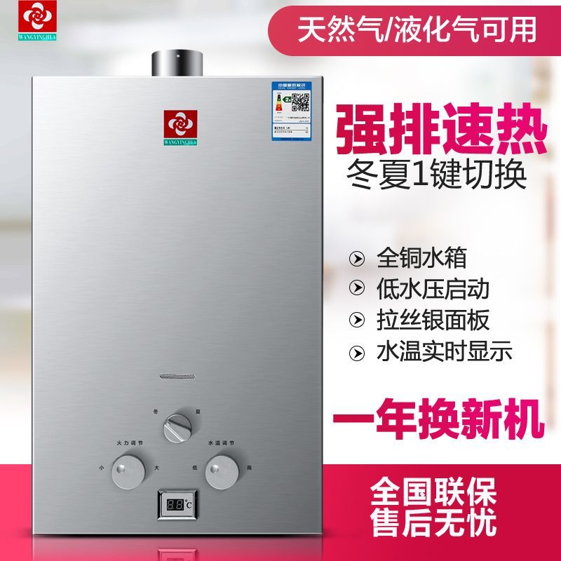 新款燃气热水器家用煤气液化气天然气节能强排平衡式变频恒温速热