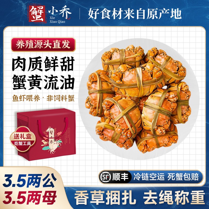 3.5两公+3.5两母 6-10只蟹小乔精品大闸蟹固城湖螃蟹活蟹顺丰