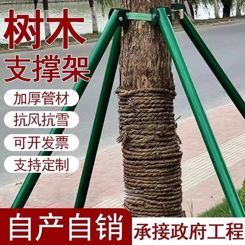 镀锌钢管园林防风固定器树木支撑杆小树支撑固定器柠檬树三角支架,农用物资,苗木固定器/支撑器,淘宝优惠券,粉丝福利购,淘宝优惠卷