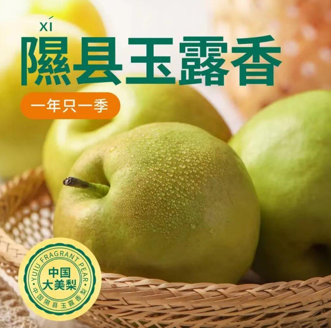 爆汁的香梨隰县玉露香梨脆甜无渣新鲜美味水果梨王6颗6.5斤包邮